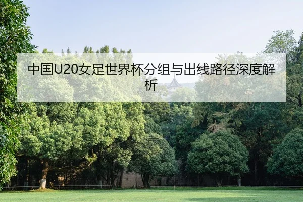 zhong-guo-nv-zu-shi-jie-bei-fen-zu-yu-chu-xian-lu-jing-shen-du-jie-xi-2-518.jpg